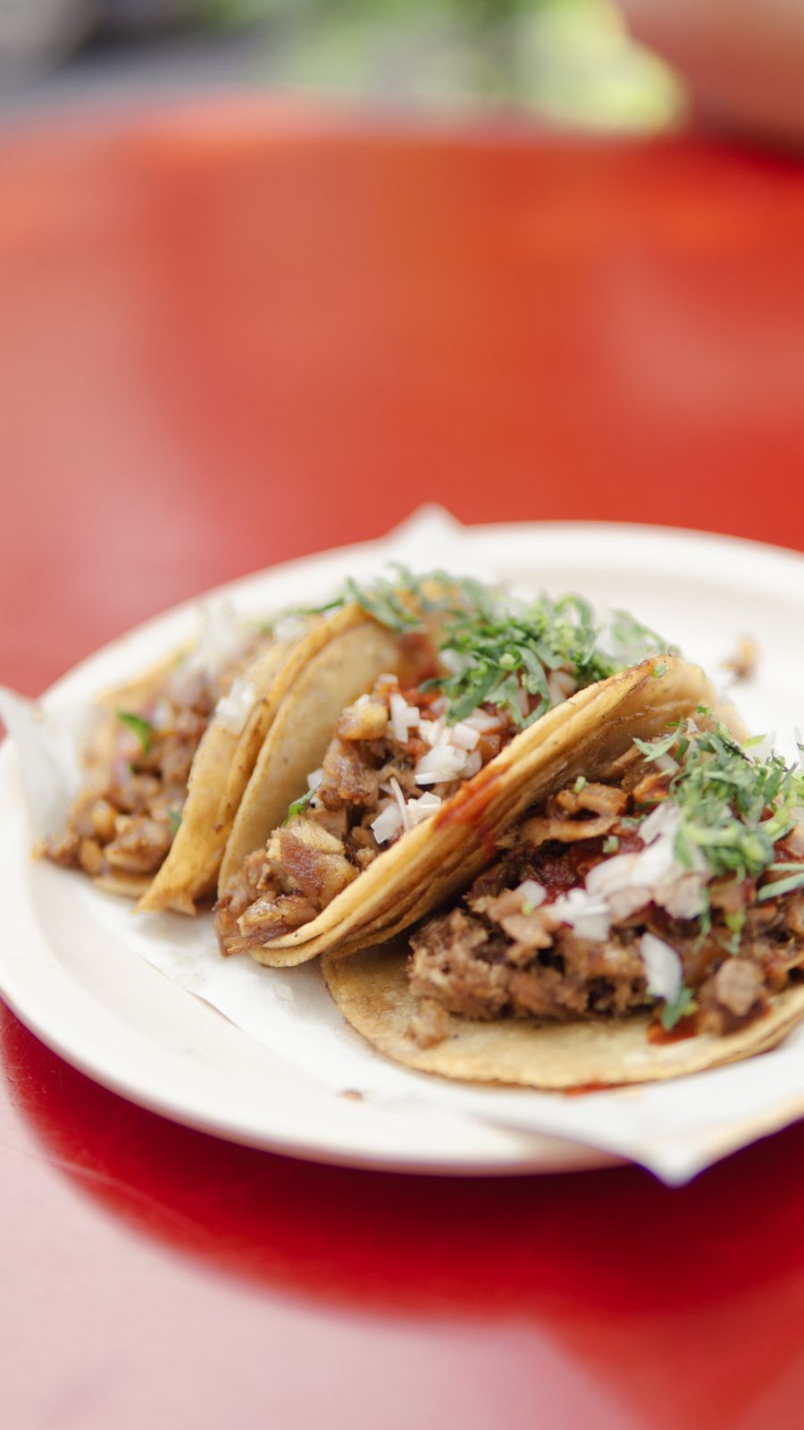 Tacos de carnitas de Carnitas Florida sobre mesa roja