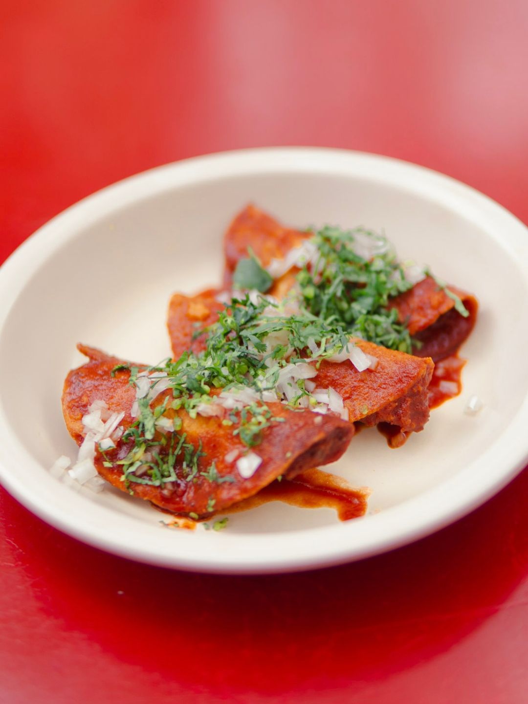 Enchiladas rojas de Carnitas Florida sobre fondo rojo